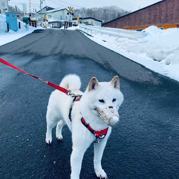 D63cb363 6948 4ffc a88c e132d35eb470 1614132958680