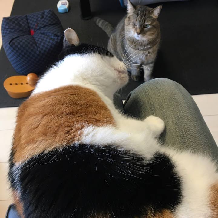 D63cd672 5322 422b a868 80768fce5be2 1620723301685