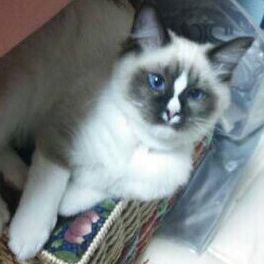 D63cfb67 a93d 45be b0bd f397bc79063e 1532424166460