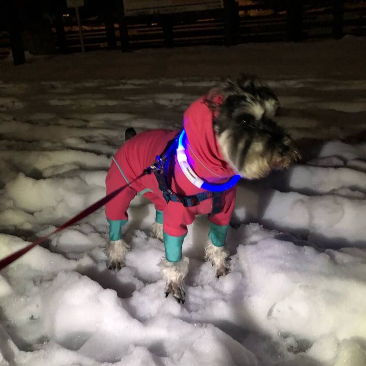 D63d0b12 00ea 4aff a63b 032a35a2392f 1609765830864