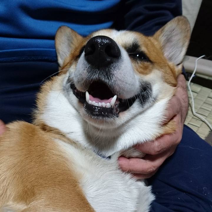 D63d2272 ec57 4adf 861f 39e434b2ce48 1628745495132