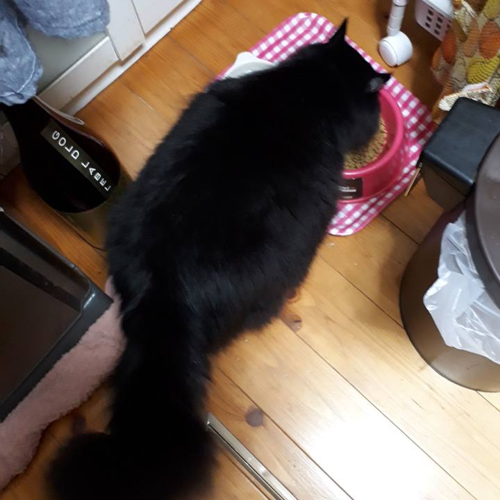 D63d2c1d b52c 40e0 9dfb 14355618fae3 1521577066199