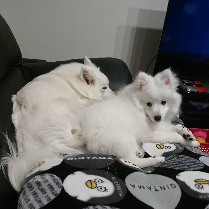 D63d2df2 309b 4666 959f bd7d6091b8f6 1550236138492