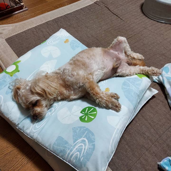 D63d32e6 8ef3 45af 82d9 593b4e99fbbe 1656226781489