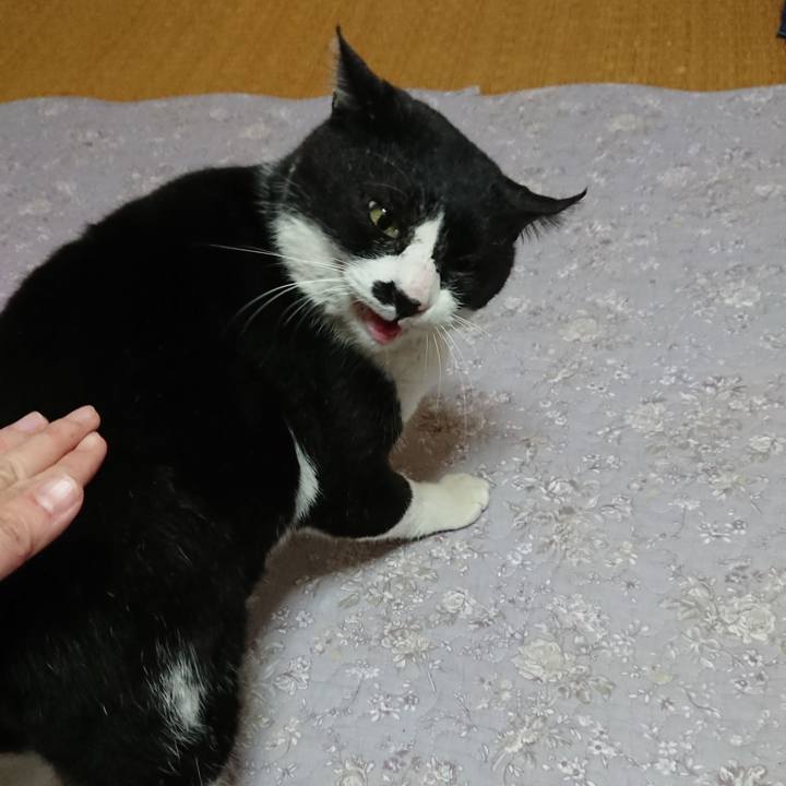 D63d3db3 0ac3 414f 8647 fd8977f388bb 1551827743258