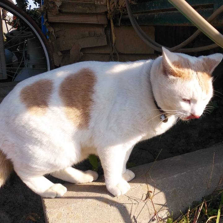 D63d5e20 d017 43af a303 01a9fa31f97d 1605582518729