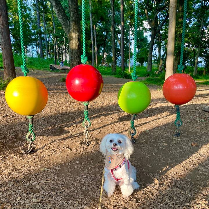 D63d61a4 4dcf 4ba1 a108 a0be58ff598d 1627981334830