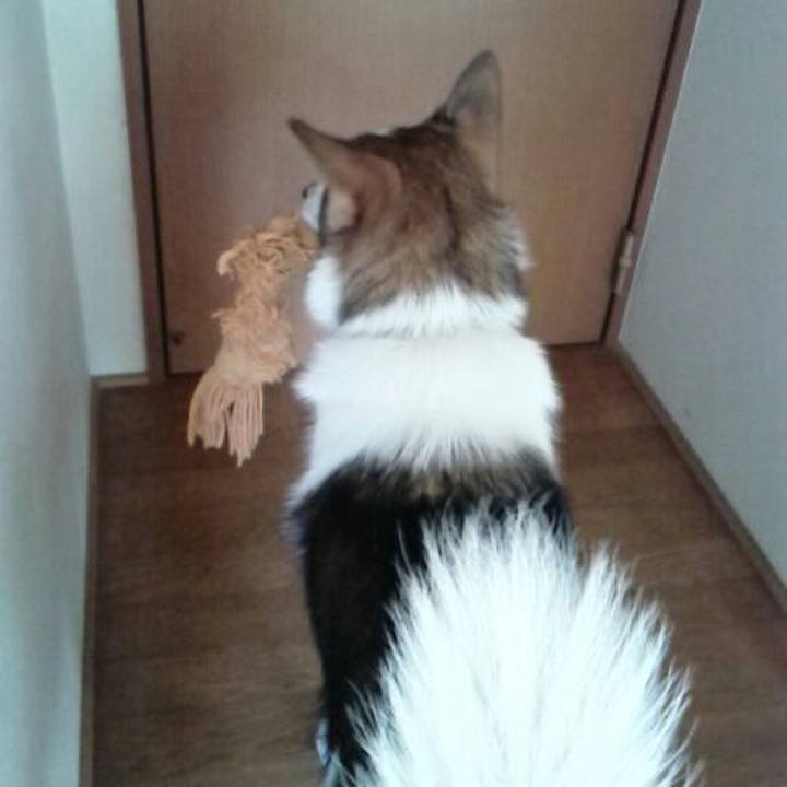 D63d6246 6ad6 4cb7 bb1c d82d557aada5 1534831112384