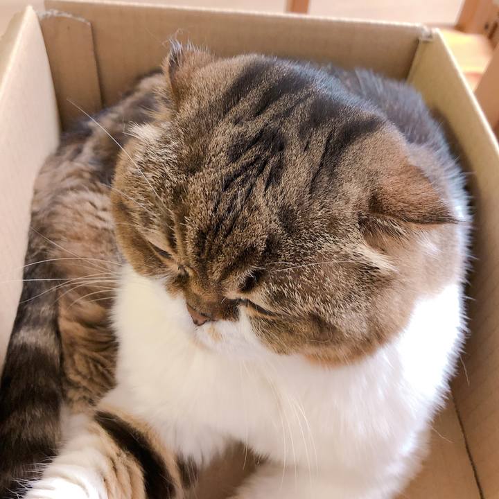 D63d730b c590 409d bd2a 865b649c0cdb 1565868390705