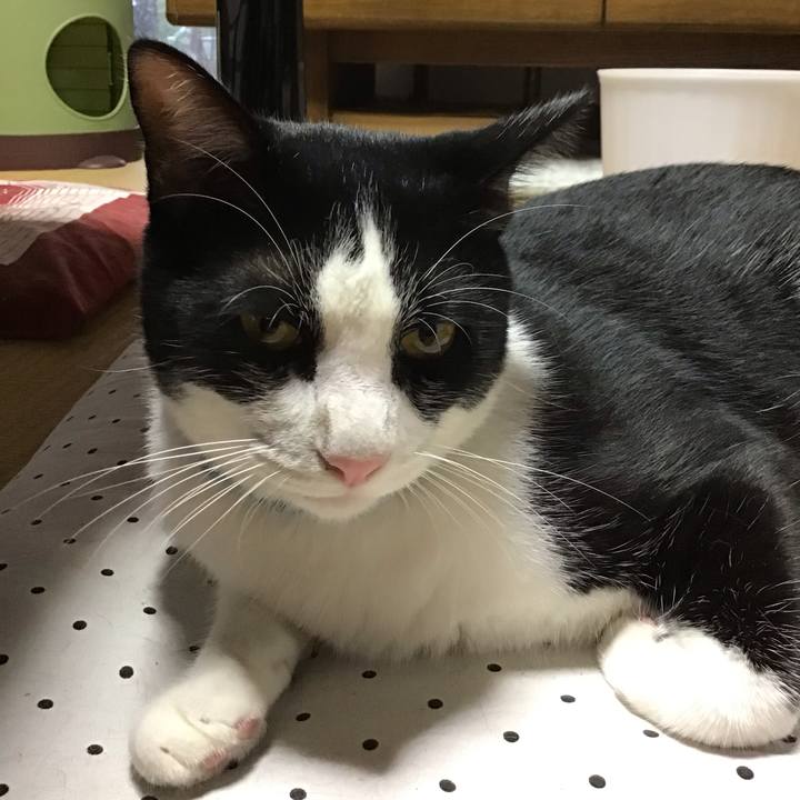 D63dabb7 5a84 4de7 855d 9f09955c03e4 1660563888733