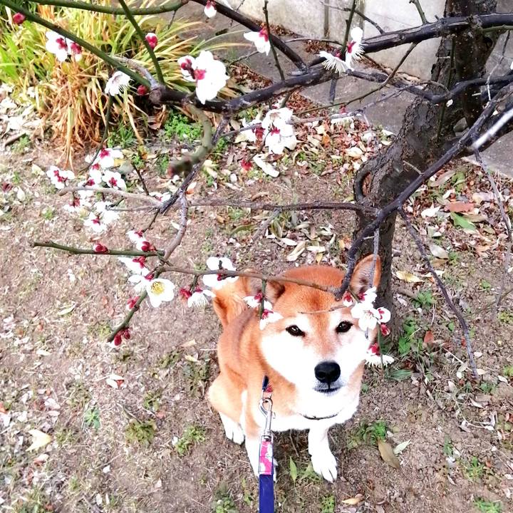 D63e04b7 a39a 4afb 9877 1c8a27509307 1677630955763