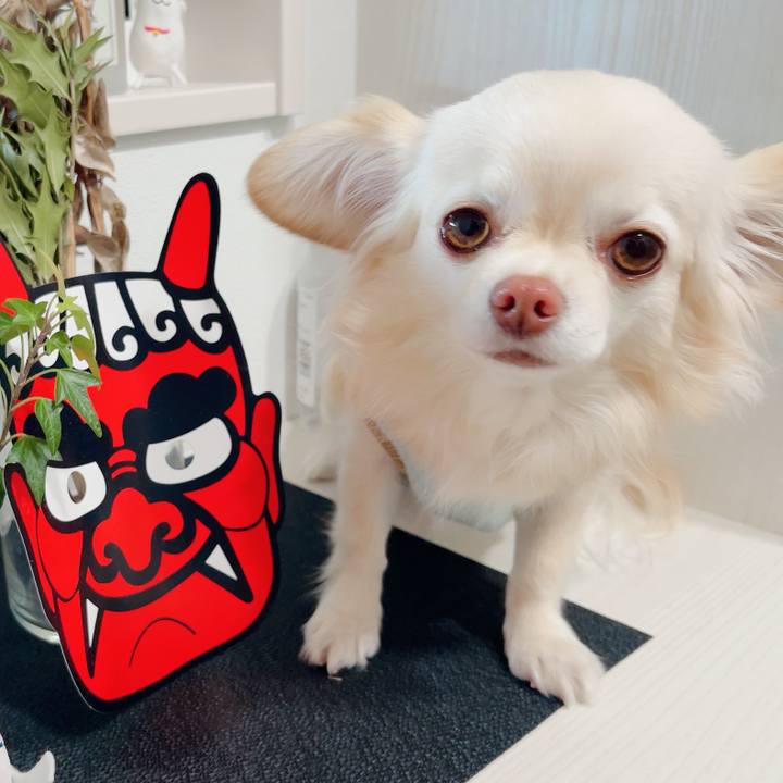 D63e0767 7177 40af aa13 950a11ec235b 1706866840870