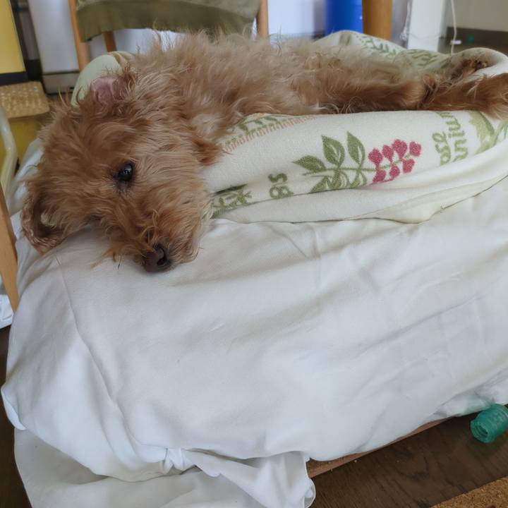 D63e24fc dab0 43e2 8217 742fcdc06ee9 1709168837805