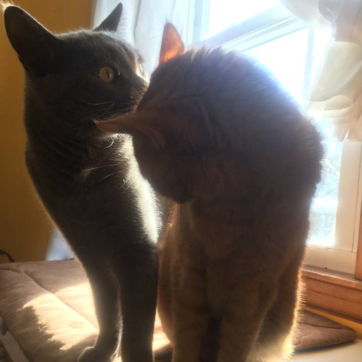 D63e4421 f2a2 49e7 89c9 36c044159003 1633046416739