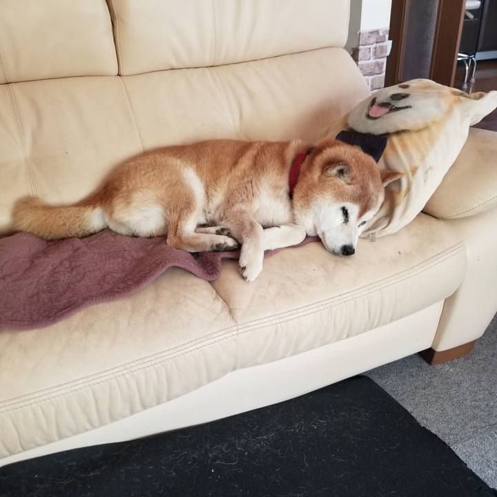 D63e651b 3c64 4824 be37 c17415fd45c0 1746669750705