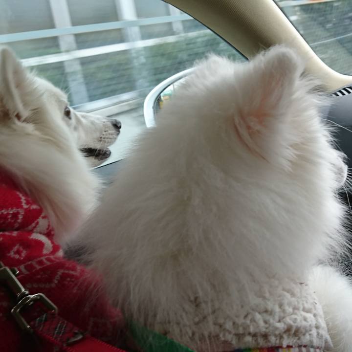 D63e86ca 98de 4050 808a 3c22e2cf4836 1549786706121