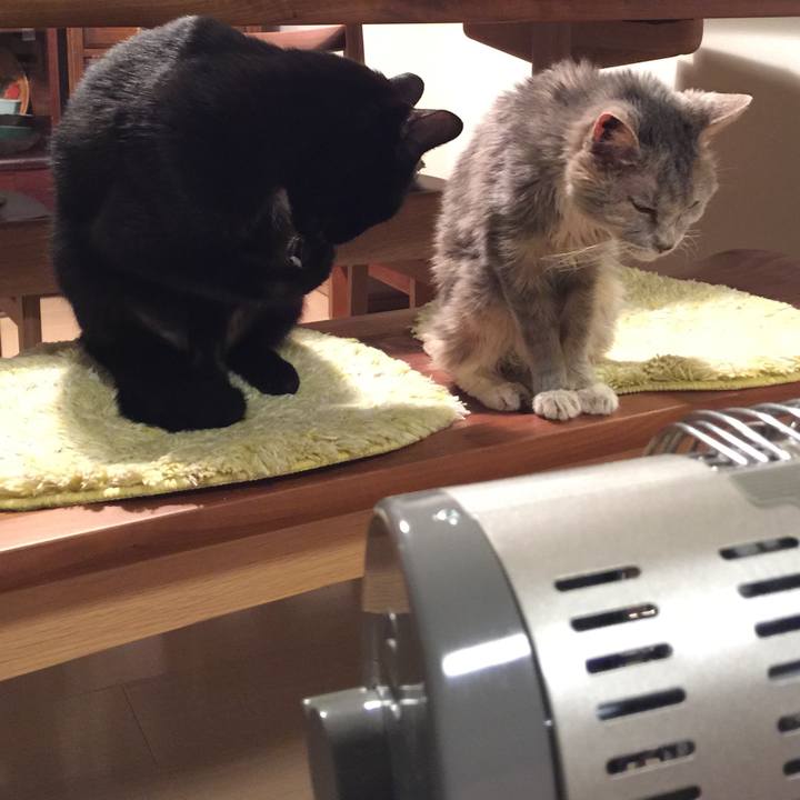 D63e97ca 5444 437c b12f d94d444346ab 1513864419575