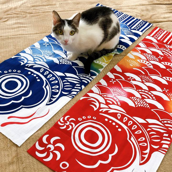 D63eb2aa 5fc9 4c4d aeb9 15d27cbab771 1620208705431