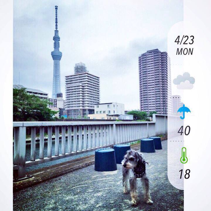 D63eb721 c778 4bb6 a471 da14d2b009af 1524472333543