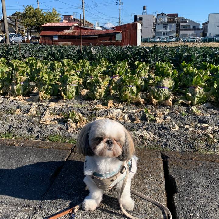 D63ed55f f86d 49ed 9265 e2b2ae05e6b1 1641306678497