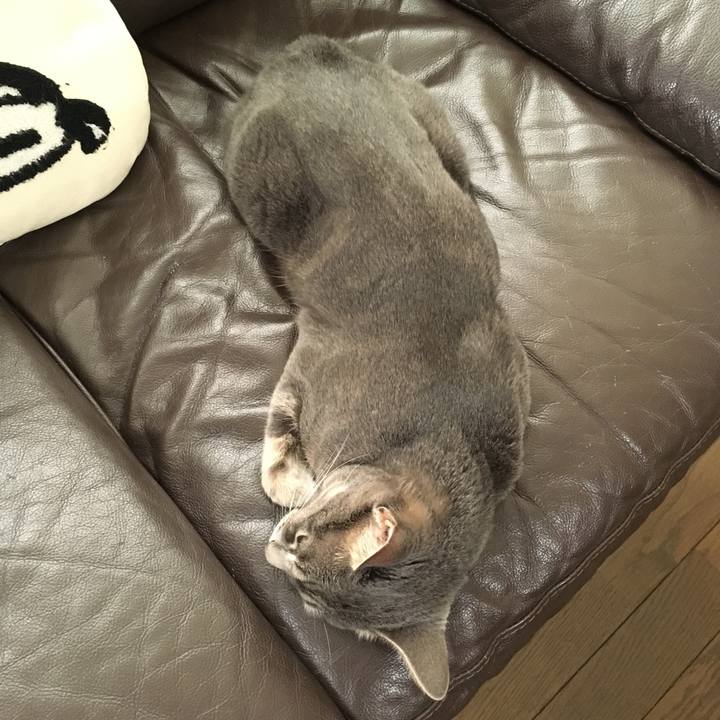 D63f25da 16ba 4ba2 b9b7 bef91c6a89ab 1530186192726