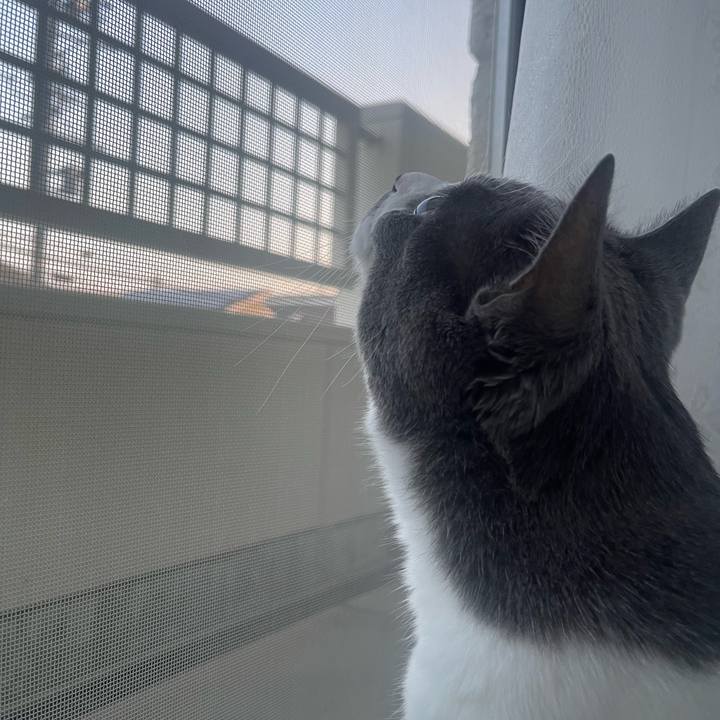 D63f2afb 40ef 41fe a44a 07a30b94da15 1686996203339