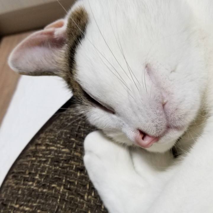 D63f7e42 dead 4015 8761 39057a398659 1558410607310