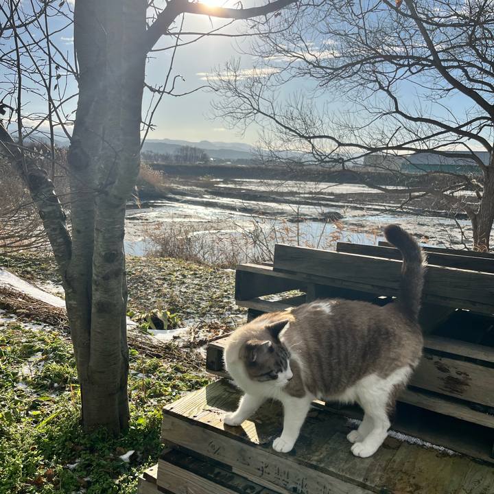 D63f8248 d549 4da8 a959 9b11dcfe1630 1766145012272