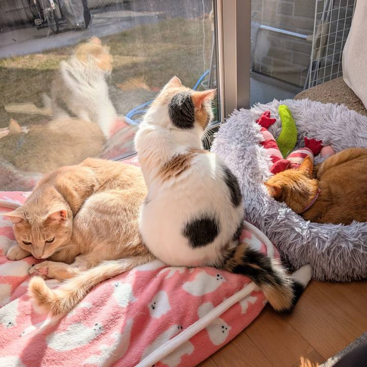 D6400492 187f 434c 9046 4973e3ea59b5 1767143071535