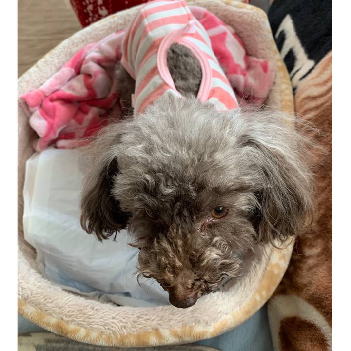 D640e5fe 2cef 40fa aa5d 4d26a2130487 1581555296264