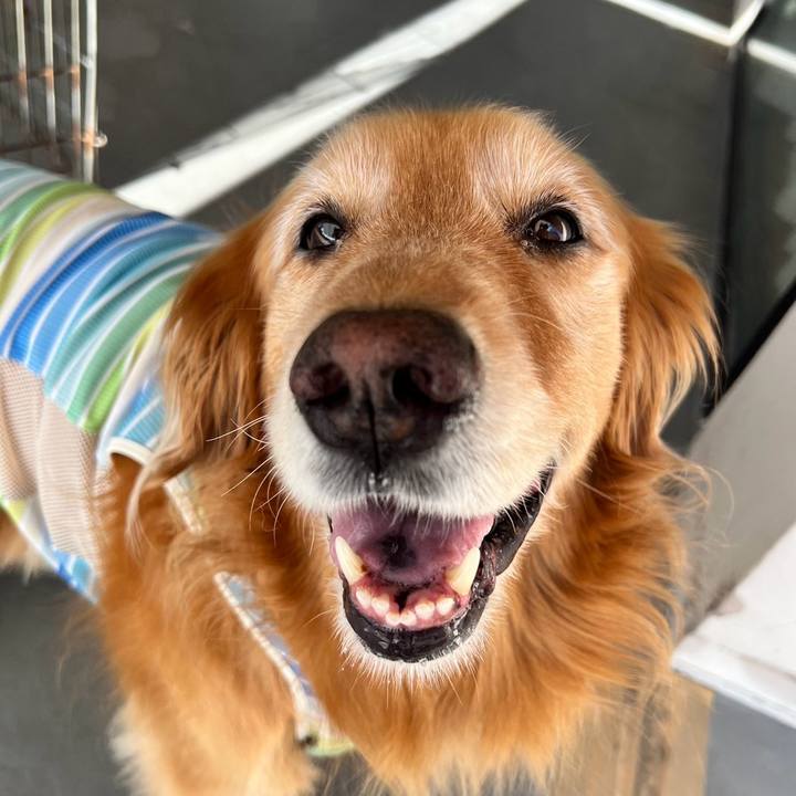 D640ee3c 454c 4446 967b 97a52e77abef 1722654357481