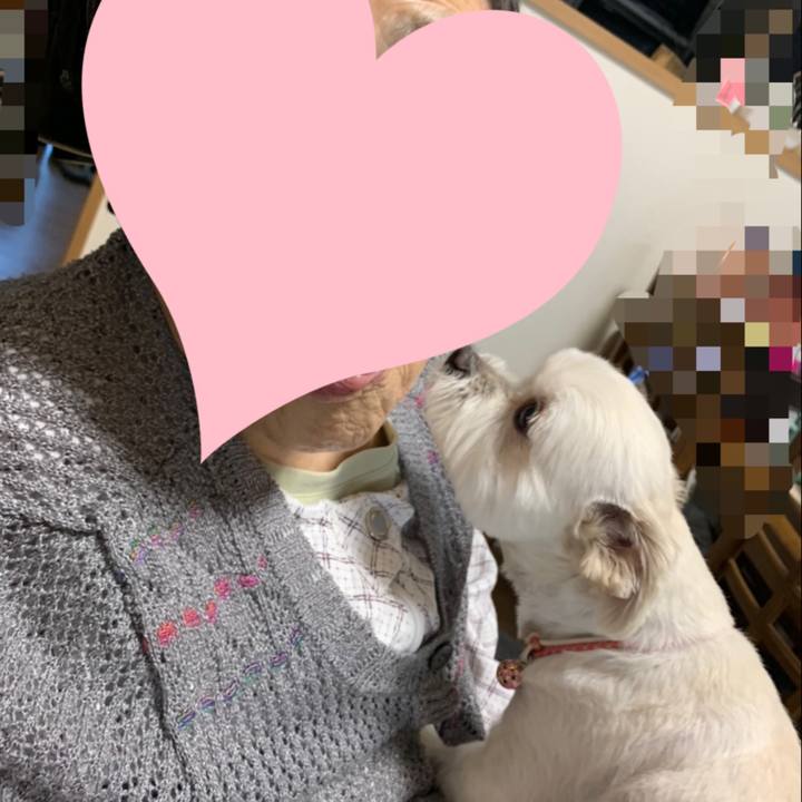 D6411925 e3ed 41b2 ab6c 6b3b050a0c0f 1622362985787