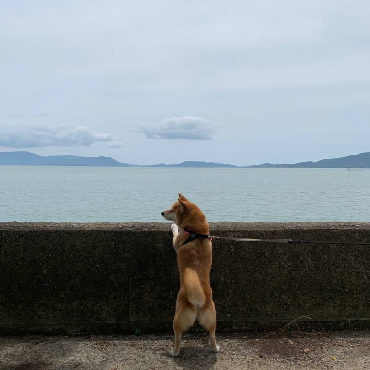 D6412f07 d5ae 48e5 9a16 c96a8ac6639b 1592627679444