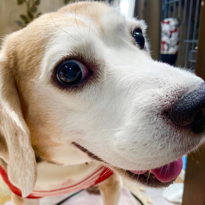 D6413a42 10fe 4d47 8b12 ca36bacbf2d2 1595908054748