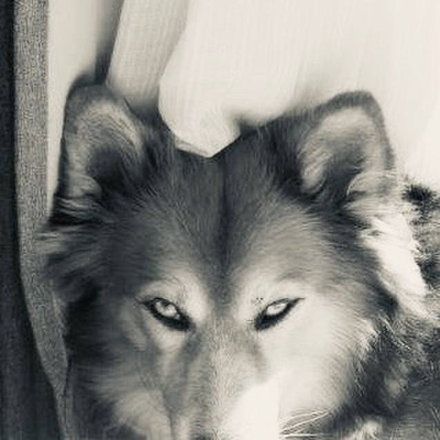 D6414dd7 e872 4882 ac2d d50e38ca9e3a 1573609166521