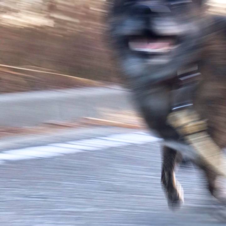 D64150cd 9266 4585 b0db eba9d98ec55c 1577227679003