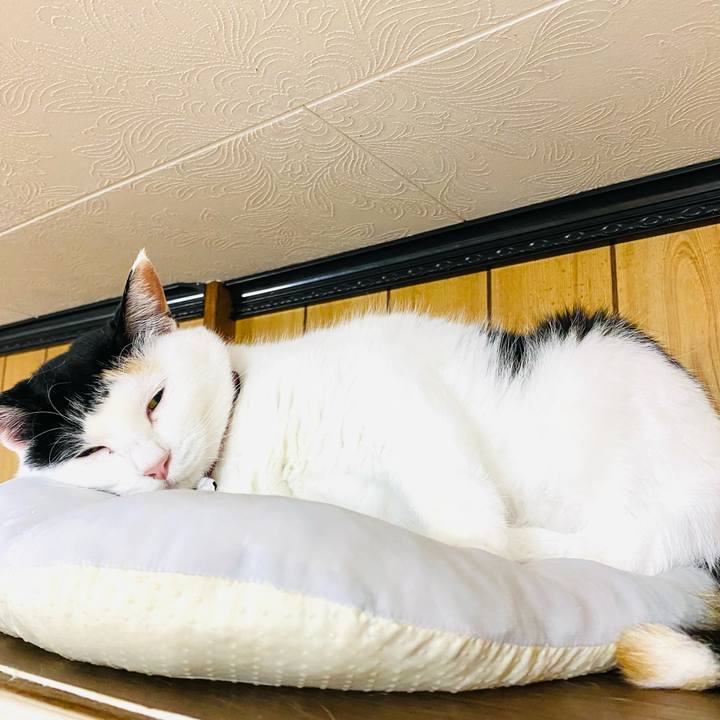 D64177cb ba2b 4e49 9b3c e492acf0c452 1686232575647