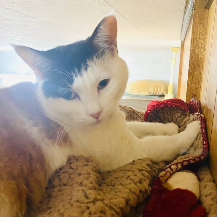 D641b392 31f4 4b31 af64 ffebe0592aeb 1702337720277