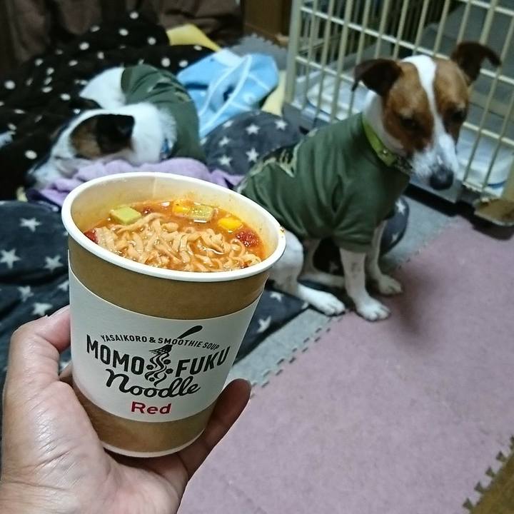 D641b5e2 cf99 40fe 8ca9 590c1897f3df 1556767460757