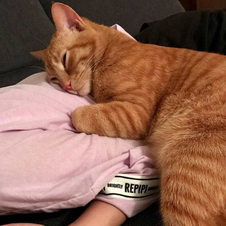 D641b9fc 6f4f 4c92 98b1 13be0545587f 1589792023735