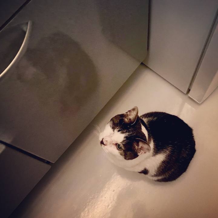 D641f3d9 c807 49b4 b67f a6f691af68b9 1584888765823