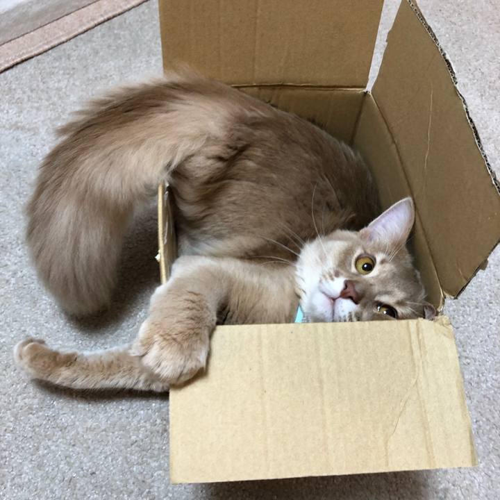 D641fcfc fc36 4d10 b95c 7c5da2de9f24 1553760254088