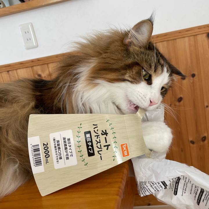 D6420ef1 6e62 4869 9973 1e716e77b77f 1682821174967