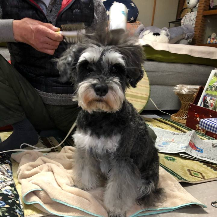 D6420f43 d576 4d8d a705 5874868d7146 1645341690699