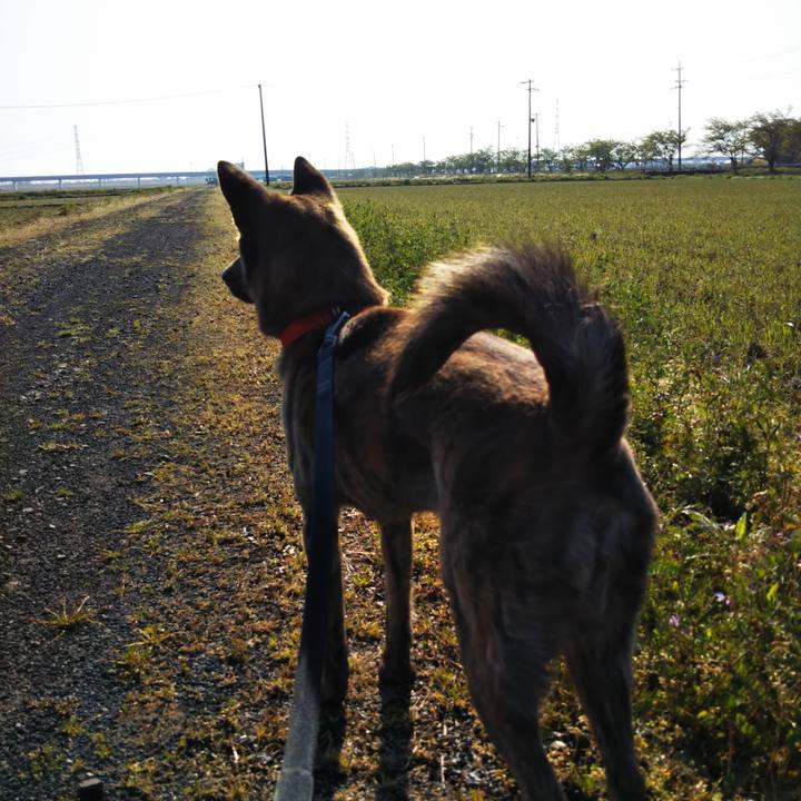 D642235a 73d5 4bdb 8bca 6f00535df750 1587790282047