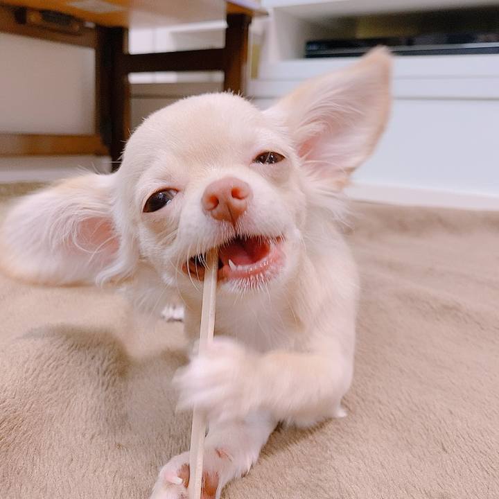 D6427686 1759 467d 8606 1d80f6b8bac1 1594632306078