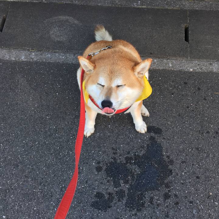 D6427f15 4959 4dae 8129 2879c6959d71 1597102397060