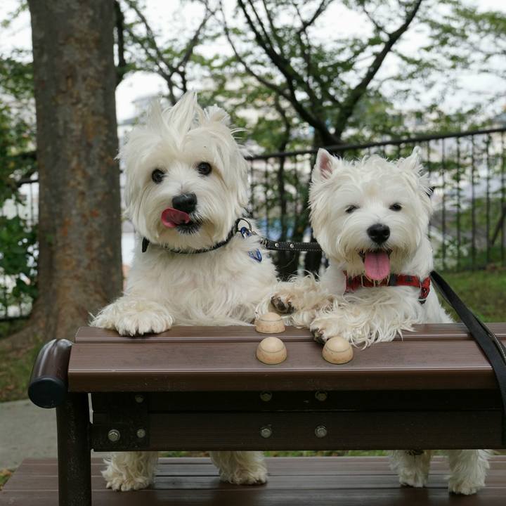 D642908e 7e85 408a 86ad 61150220aa7e 1512213389753