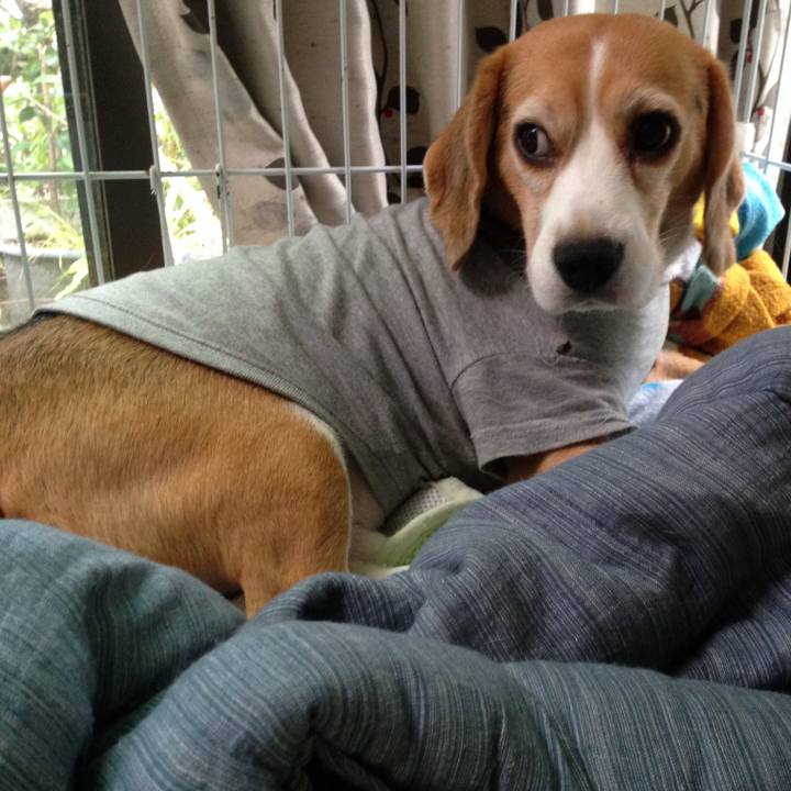 D642c0fb f41c 4682 b89f cb6020b32f93 1726782658207