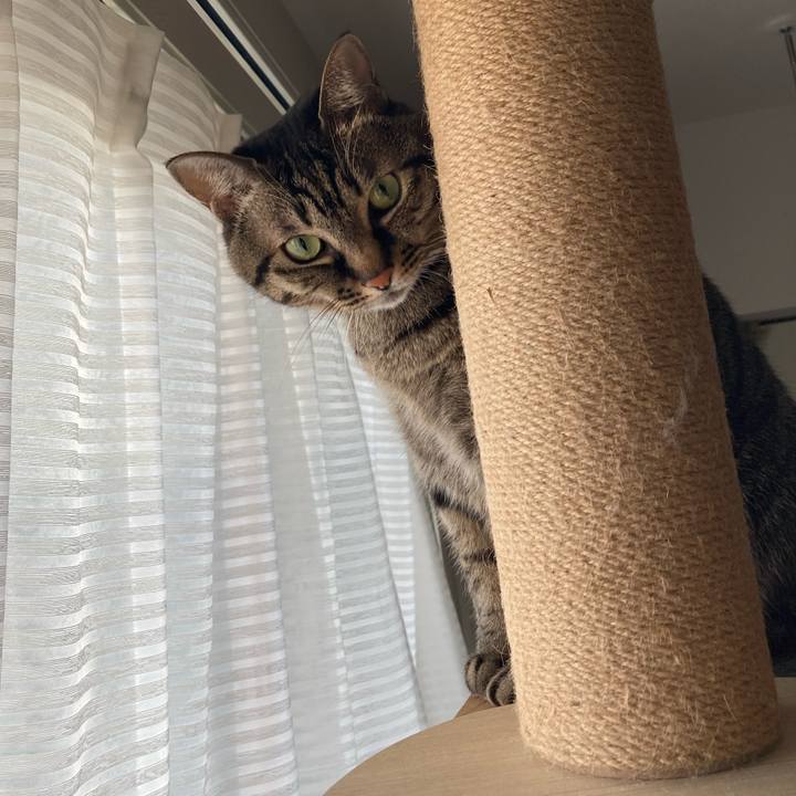 D642c74f 9f00 4e07 b33c bb834ac4efd7 1639178047106